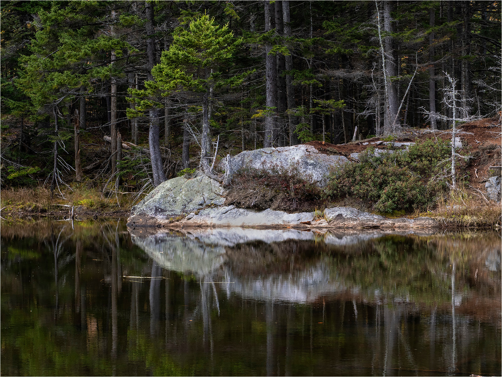 A QUIET MOMENT IN THE LANDSCAPE by Neil Owen